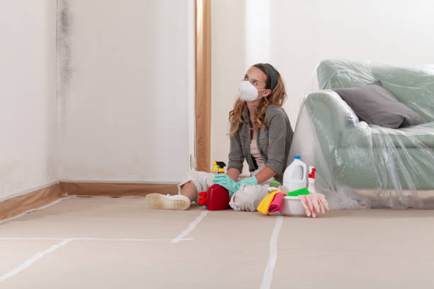 Reliable Mold Removal contractor in Wakefield, MA by WQB Mold Removal